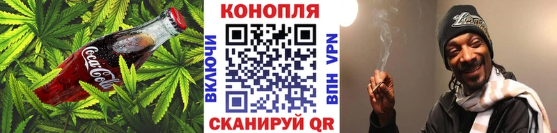 Canna-Cookies марихуана  Волхов 