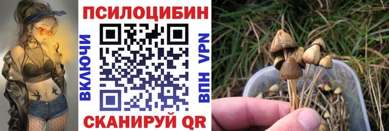 Псилоцибиновые грибы GOLDEN TEACHER  Волхов 