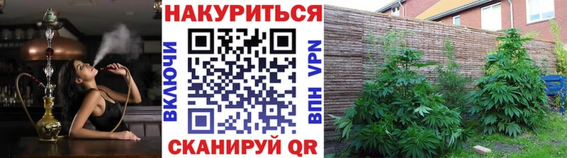 гидра tor  Волхов  Каннабис LSD WEED 